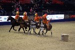 Quadrille - 00029